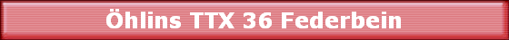 hlins TTX 36 Federbein